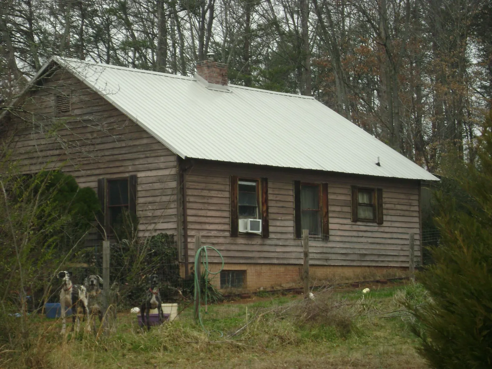 White metal roof on an old wood sided farmhouse, from a Asphalt Shingle Roof Repair job in Tate